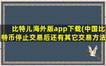 比特儿海外版app下载(中国比特币停止交易后还有其它交易方法吗)