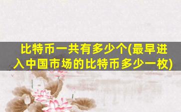 比特币一共有多少个(最早进入中国市场的比特币多少一枚)