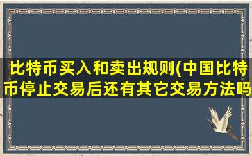 比特币买入和卖出规则(中国比特币停止交易后还有其它交易方法吗)