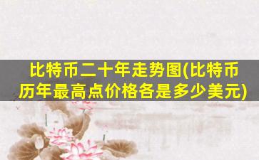 比特币二十年走势图(比特币历年最高点价格各是多少美元)