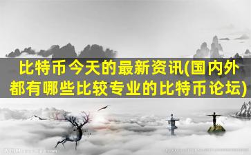 比特币今天的最新资讯(国内外都有哪些比较专业的比特币论坛)