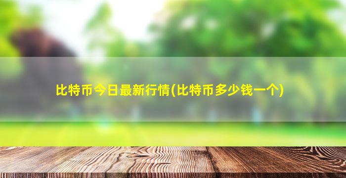 比特币今日最新行情(比特币多少钱一个)