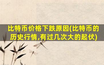 比特币价格下跌原因(比特币的历史行情,有过几次大的起伏)