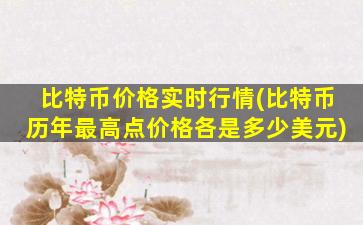 比特币价格实时行情(比特币历年最高点价格各是多少美元)