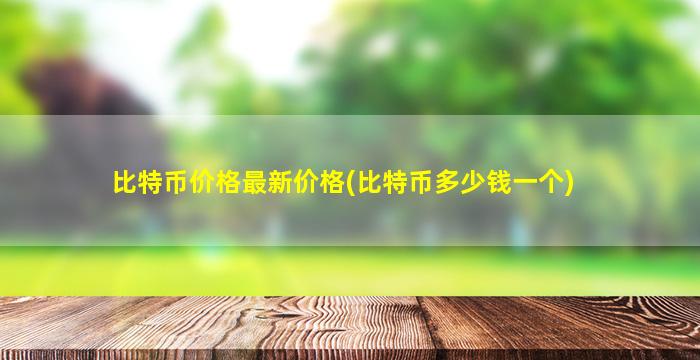 比特币价格最新价格(比特币多少钱一个)