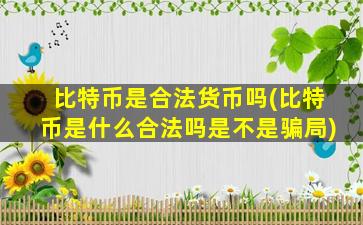 比特币是合法货币吗(比特币是什么合法吗是不是骗局)