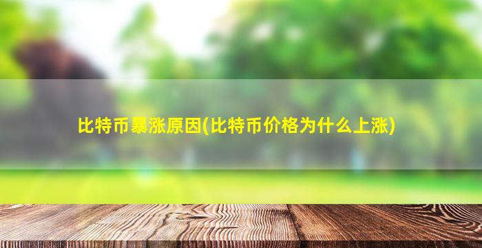 比特币暴涨原因(比特币价格为什么上涨)