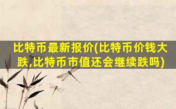 比特币最新报价(比特币价钱大跌,比特币市值还会继续跌吗)