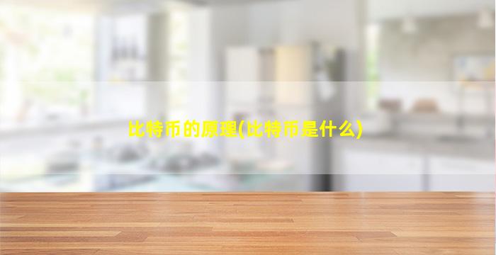 比特币的原理(比特币是什么)