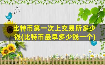比特币第一次上交易所多少钱(比特币最早多少钱一个)