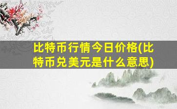 比特币行情今日价格(比特币兑美元是什么意思)