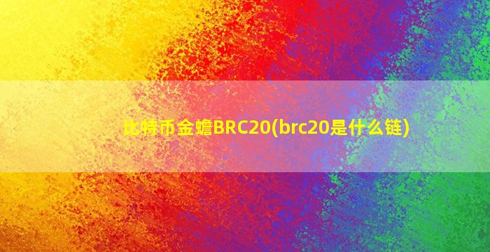 比特币金蟾BRC20(brc20是什么链)