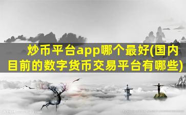 炒币平台app哪个最好(国内目前的数字货币交易平台有哪些)