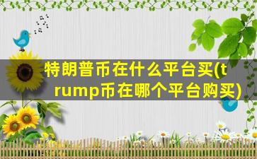 特朗普币在什么平台买(trump币在哪个平台购买)