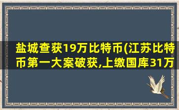 盐城查获19万比特币(江苏比特币第一大案破获,上缴国库31万个比特币,案由是什么)