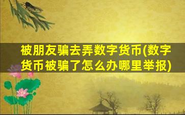被朋友骗去弄数字货币(数字货币被骗了怎么办哪里举报)